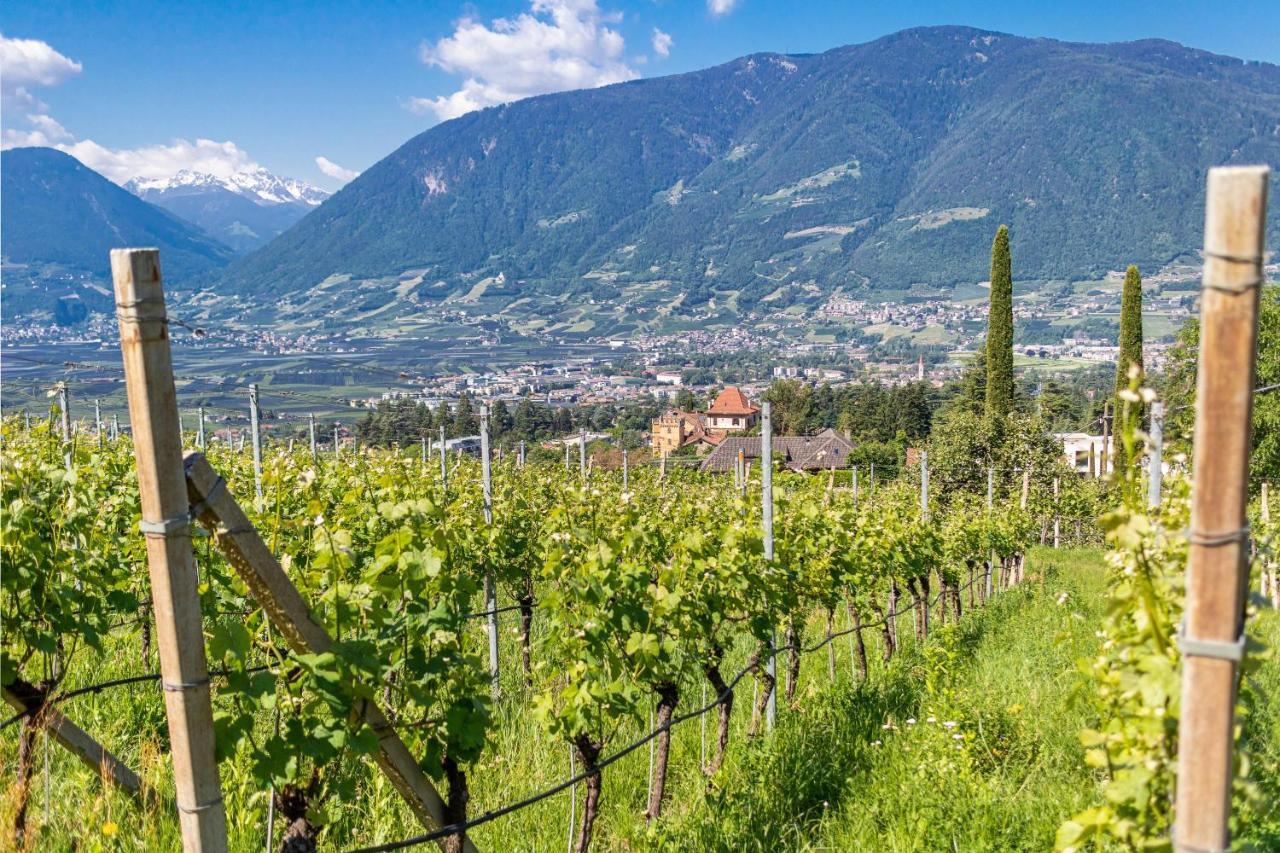 Ferienwohnung Pinot Merano Dış mekan fotoğraf