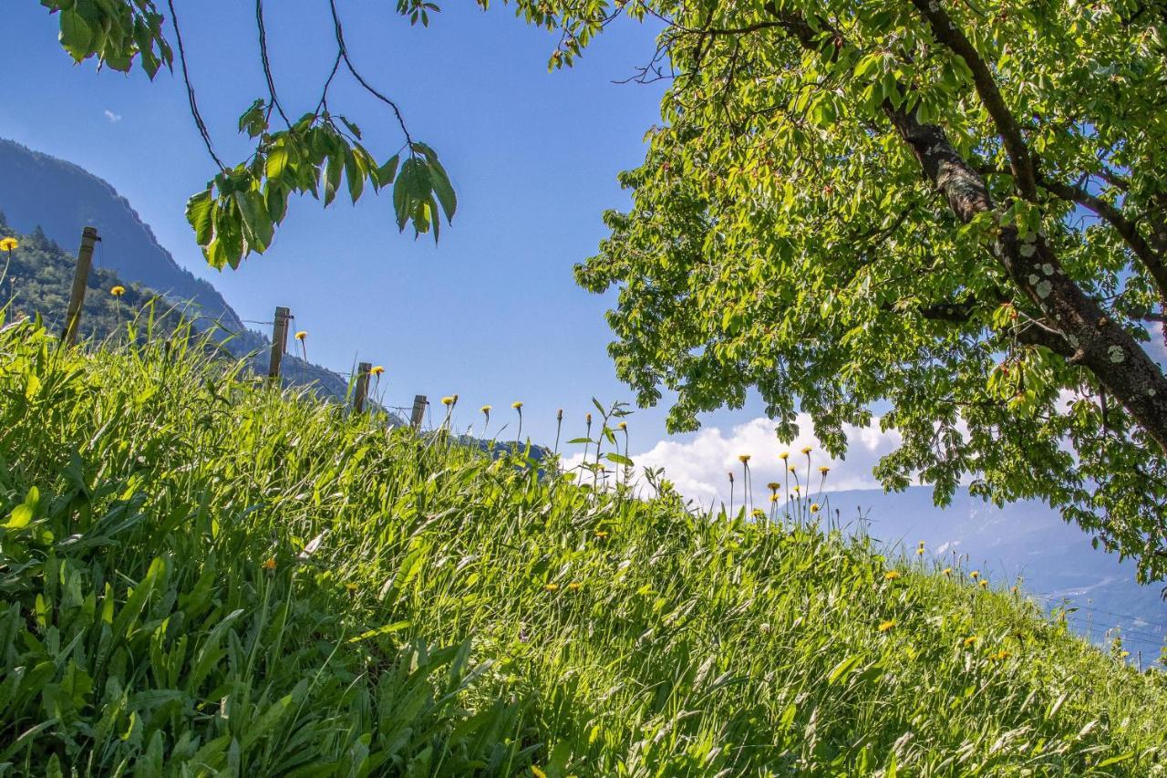 Ferienwohnung Pinot Merano Dış mekan fotoğraf